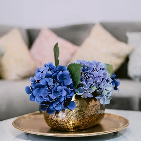 Апартаменты Historic Hideway