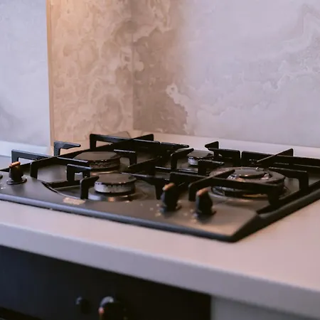 Апартаменты Historic Hideway Бухарест