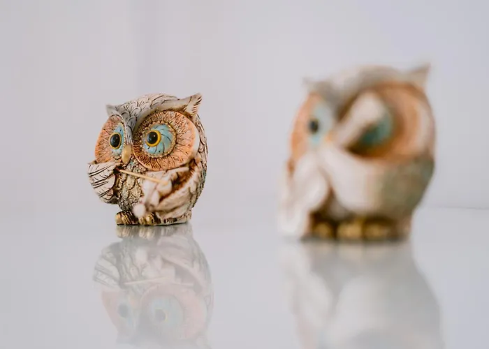 Historic Hideway شقة